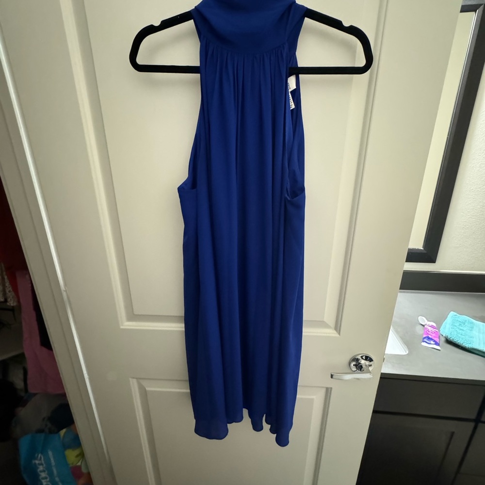 Belle Badgley Mischka Dress